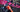 Dans la Roue de …  Liv Wenzel - Crosswoman au SebMotoBikes CX Team